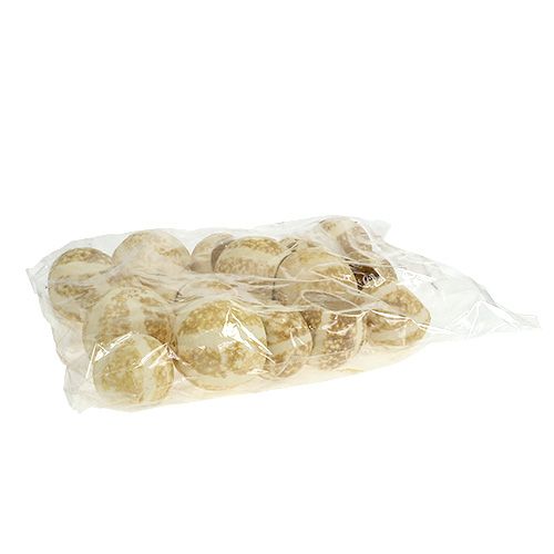 Floristik24 Taza Calabaza blanqueada 20uds