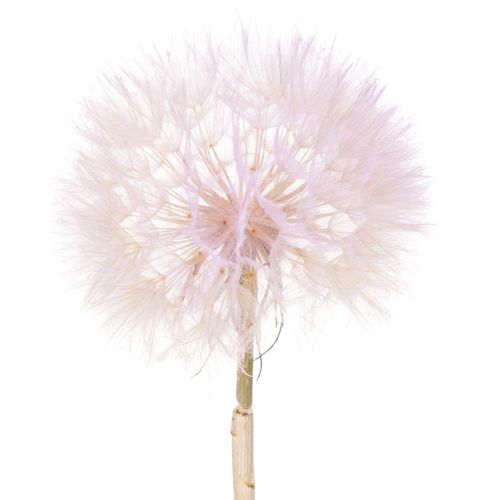 Flor decorativa de diente de león artificial para diseño interior moderno, accesorio para el hogar, 50 cm, 4 piezas