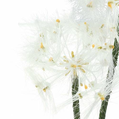 Floristik24 Bola de prado artificial blowball gigante blanco 57cm