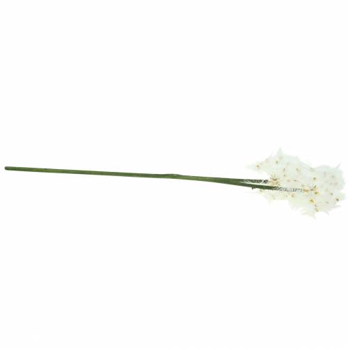 Floristik24 Bola de prado artificial blowball gigante blanco 57cm