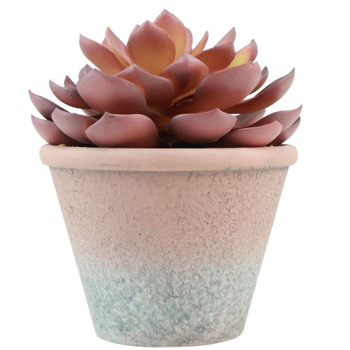 Artículo Planta suculenta en maceta Echeveria artificial rojo vintage Ø15cm H16cm