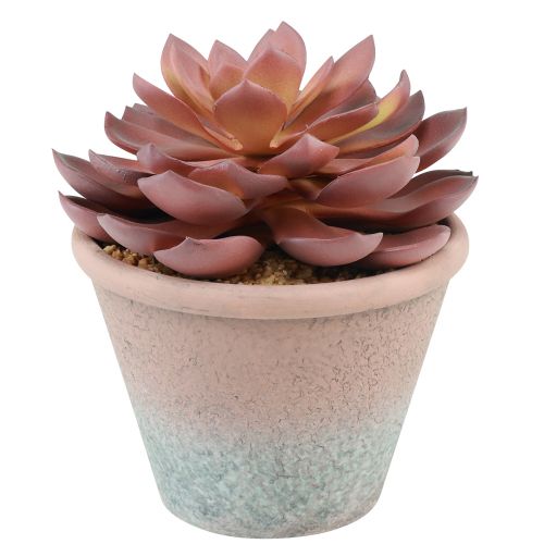 Artículo Planta suculenta en maceta Echeveria artificial rojo vintage Ø15cm H16cm