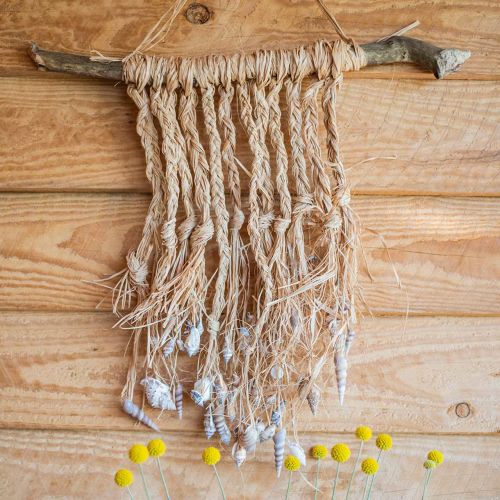 Floristik24 Mejillón mix natural 3cm – 5cm 200g