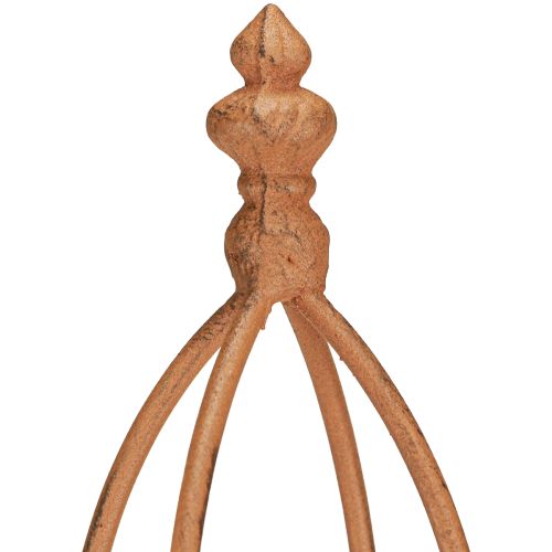 Floristik24 Enrejado de metal con aspecto oxidado, obelisco, 69/86 cm, juego de 2 piezas