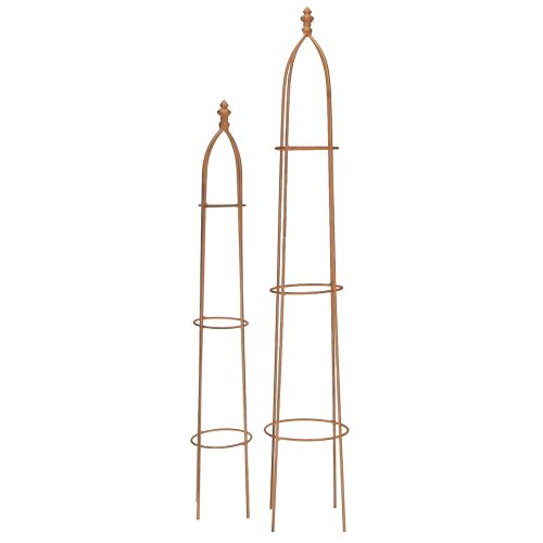 Floristik24 Enrejado de metal con aspecto oxidado, obelisco, 69/86 cm, juego de 2 piezas
