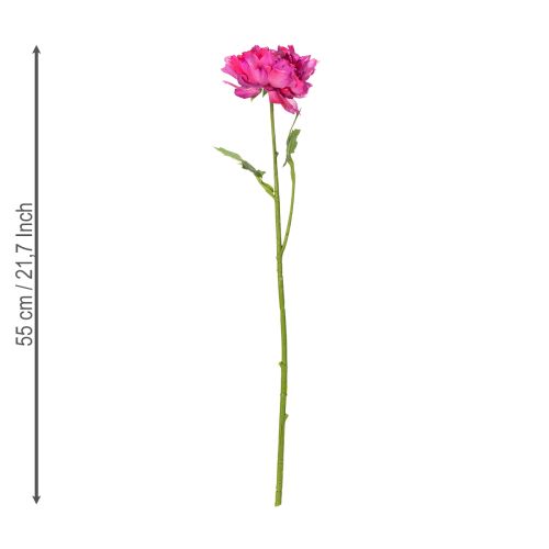Artículo Flor de ranúnculo artificial, réplica detallada para decoración de sala de estar y oficina, 55 cm, 6 piezas
