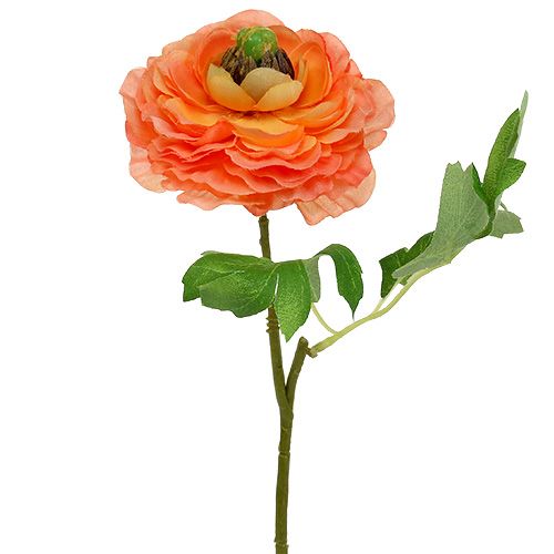 Floristik24 Ranunculus naranja 27cm 8pcs