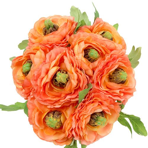 Floristik24 Ranunculus naranja 27cm 8pcs