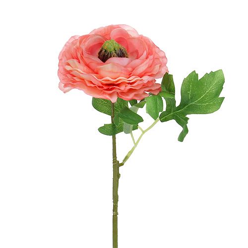 Floristik24 Ranunculus Rosa-Rosa 27cm 8pcs