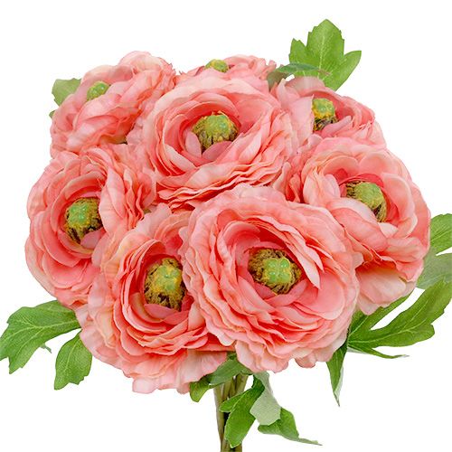 Floristik24 Ranunculus Rosa-Rosa 27cm 8pcs
