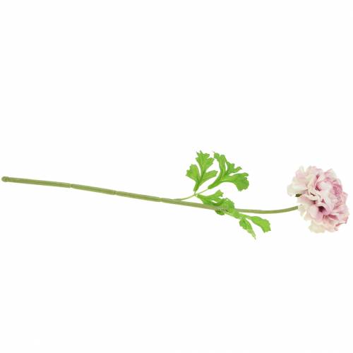 Artículo Ranunculus lila H45cm