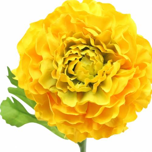 Floristik24 Ranúnculo amarillo A45cm