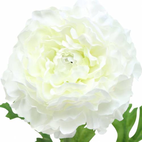 Artículo Ranúnculo blanco A45cm