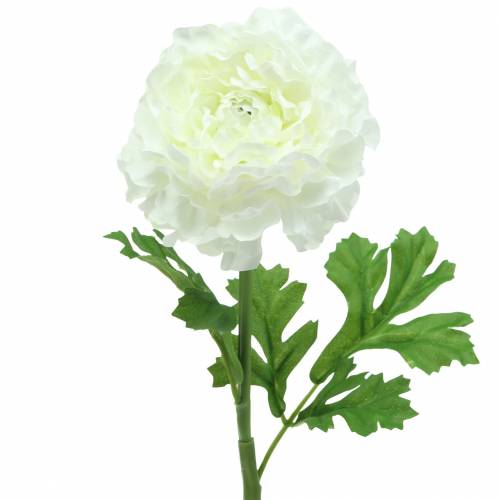 Ranúnculo blanco A45cm