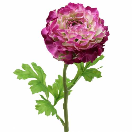 Floristik24 Ranunculus violeta artificial 48cm