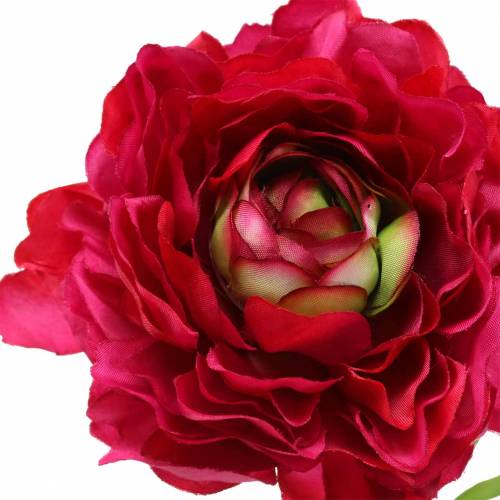 Artículo Ranunculus rosa oscuro artificialmente 51cm