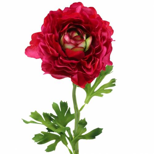 Floristik24 Ranunculus rosa oscuro artificialmente 51cm