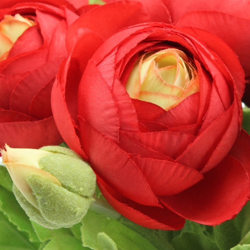 Floristik24 Ranunculus rojo 30cm