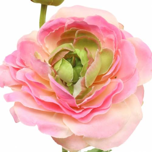 Floristik24 Ranunculus flor y capullo artificial rosa 34cm