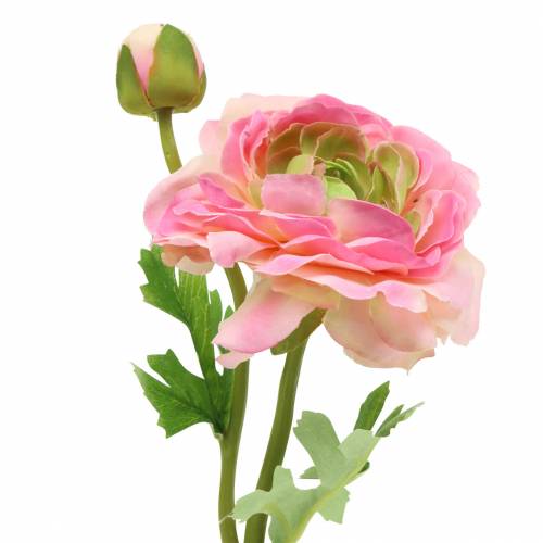 Floristik24 Ranunculus flor y capullo artificial rosa 34cm