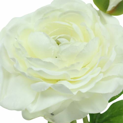 Artículo Ranúnculo de flores artificiales con flor y capullo blanco H34cm