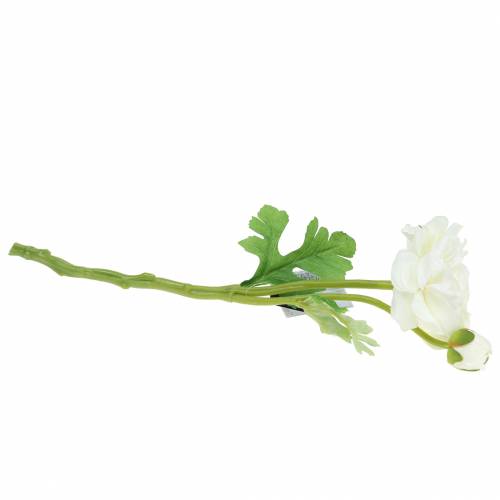 Floristik24 Ranúnculo de flores artificiales con flor y capullo blanco H34cm