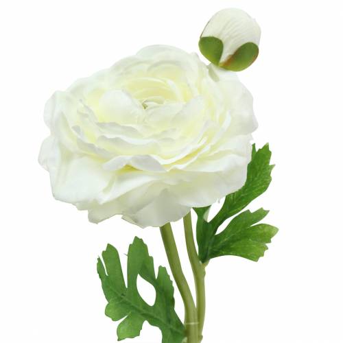 Artículo Ranúnculo de flores artificiales con flor y capullo blanco H34cm