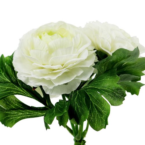 Artículo Ramo Ranunculus blanco L18cm