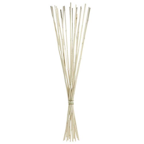 Floristik24 Varillas de rattan blanqueadas 100cm 20uds