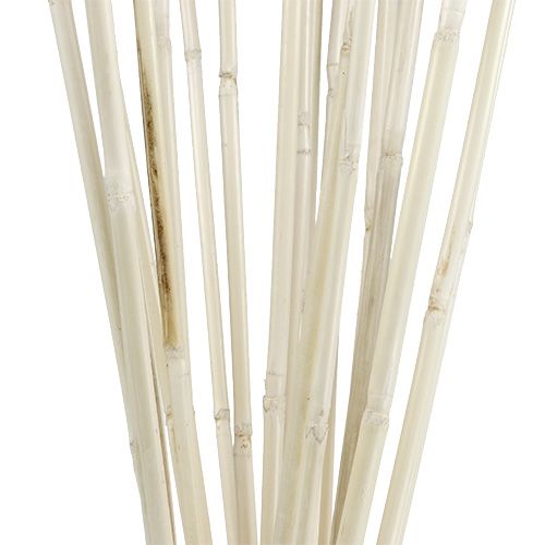 Floristik24 Varillas de rattan blanqueadas 100cm 20uds