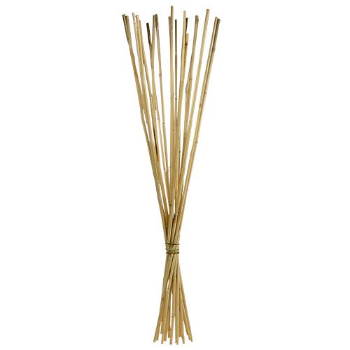 Floristik24 Tallos de rattan 100cm natural 20uds