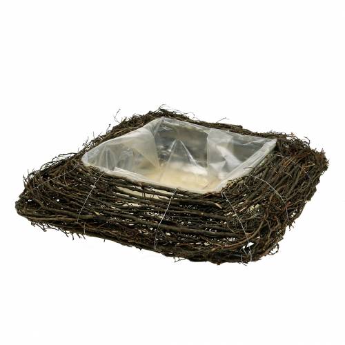 Artículo Cojín planta ramas naturaleza 40cm x 40cm H10cm