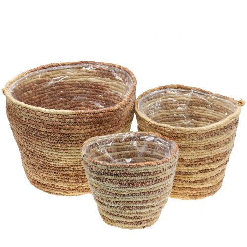 Artículo Cesta para plantas mimbre natural/marrón Ø26/22/16cm 3pcs