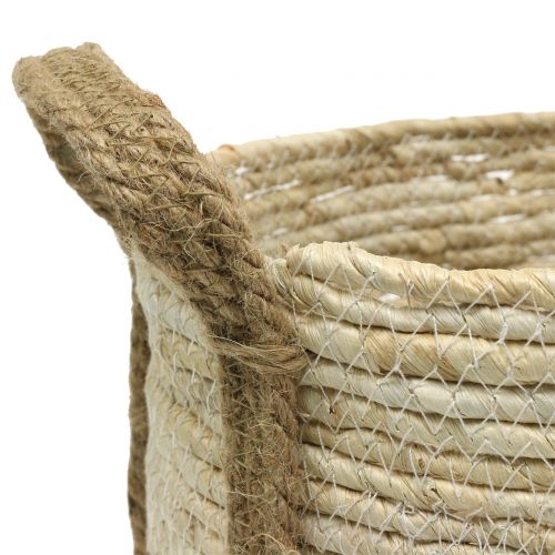 Floristik24 Cesta de mimbre natural/marrón Ø40/32/26cm 3pcs