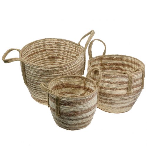 Floristik24 Cesta de ratán natural / marrón Ø40 / 32 / 26cm 3 piezas