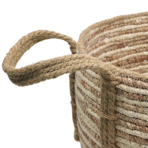 Floristik24 Cesta de ratán natural / marrón Ø40 / 32 / 26cm 3 piezas