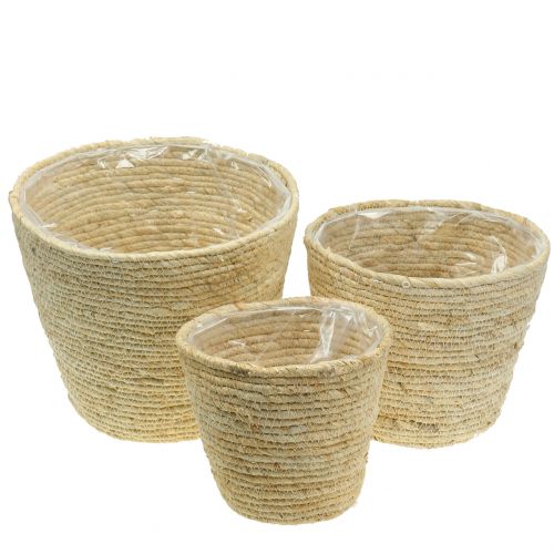 Floristik24 Cesta para plantas rattan natural Ø26/22/16cm 3pcs