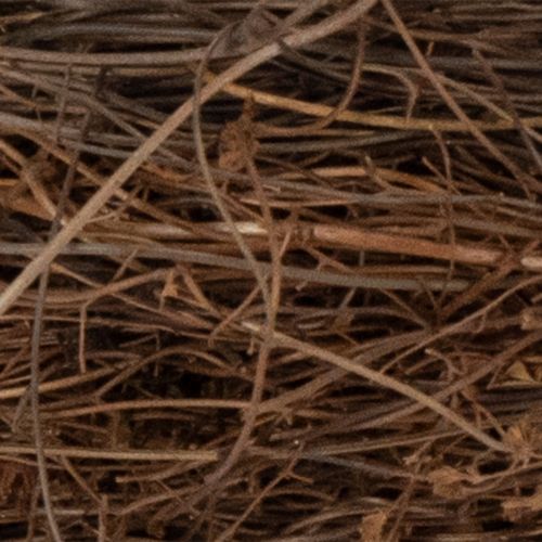 Artículo Corona de vid natural Ø15cm, juego de 10 - Ideal para decoraciones de otoño, Navidad, Pascua y funerales