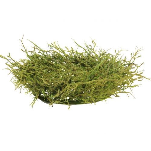 Floristik24 Corona de primavera con verde musgo Ø30cm