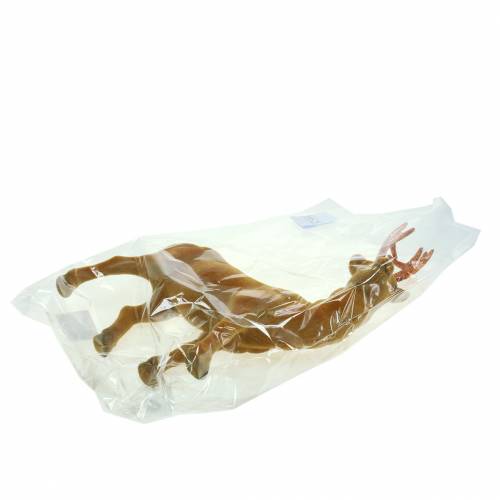 Floristik24 Curry flocado de renos, cobre 40cm