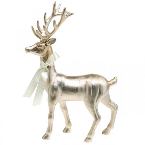Floristik24 Figura decorativa ciervo de pie champán decoración Adviento 36cm