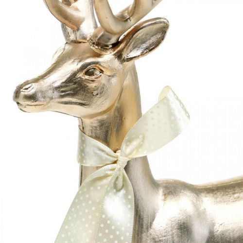 Floristik24 Figura decorativa ciervo de pie champán decoración Adviento 36cm