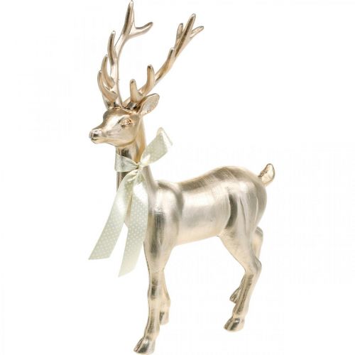 Floristik24 Figura decorativa ciervo de pie champán decoración Adviento 36cm