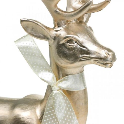 Floristik24 Figura decorativa ciervo champán ciervo decorativo grande Navidad 47cm