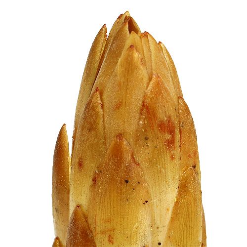 Artículo Repens crema pequeña 50uds