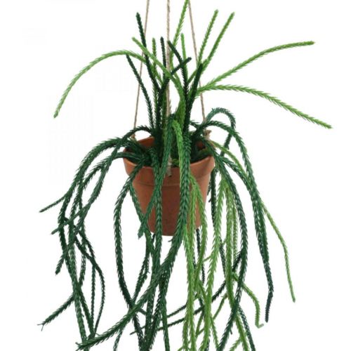 Artículo Cesta colgante de cactus de coral artificial Rhipsalis Al. 87 cm