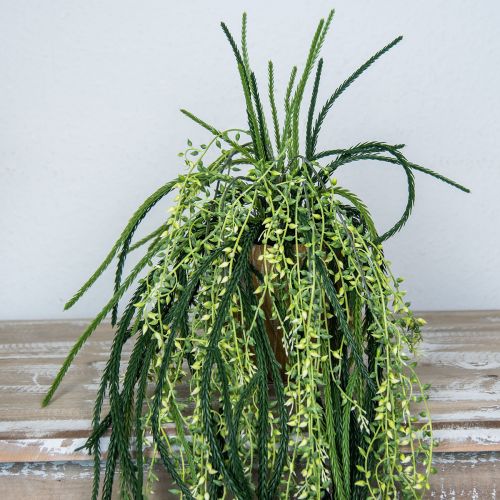 Artículo Cesta colgante de cactus de coral artificial Rhipsalis Al. 87 cm