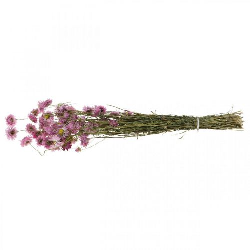 Artículo Flores secas de acroclinium rosa, ramo de 20 g