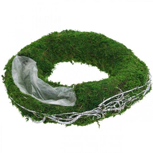 Floristik24 Anillo de planta de corona de musgo con enredaderas y verde musgo, blanco Ø35cm