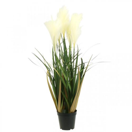 Artículo Hierba de caña en maceta Planta artificial en maceta Crema, Verde 79cm